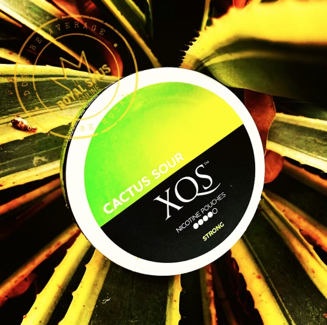 XQS Cactus Sour Strong Nicotine Pouches