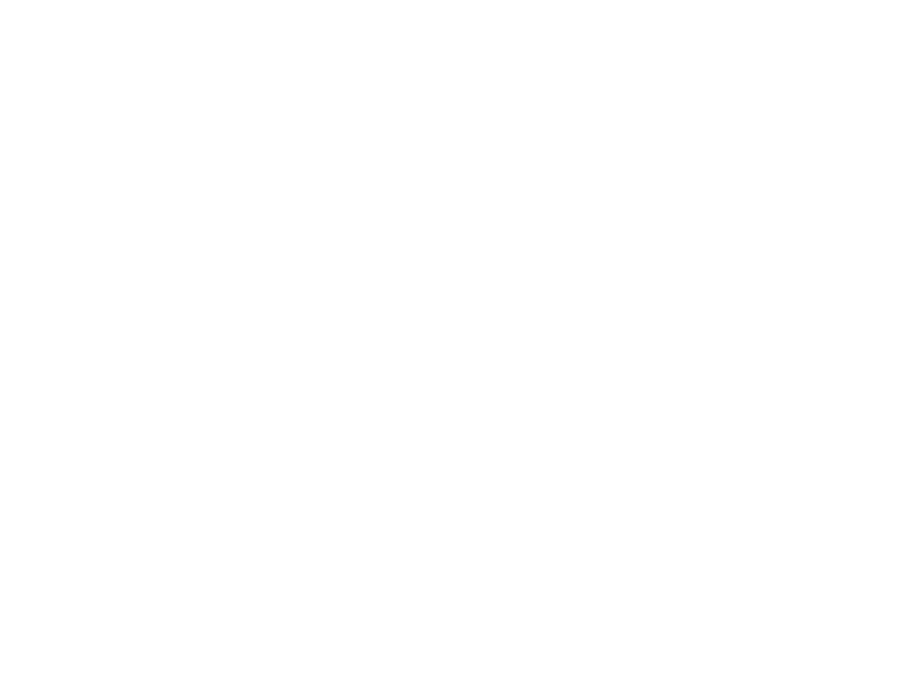 NIC-S NIC-S