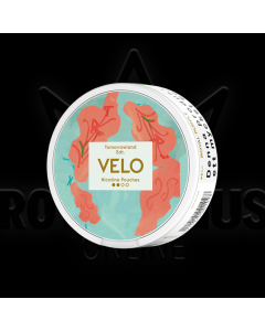 VELO Tomorrowland Limited Edition 2023