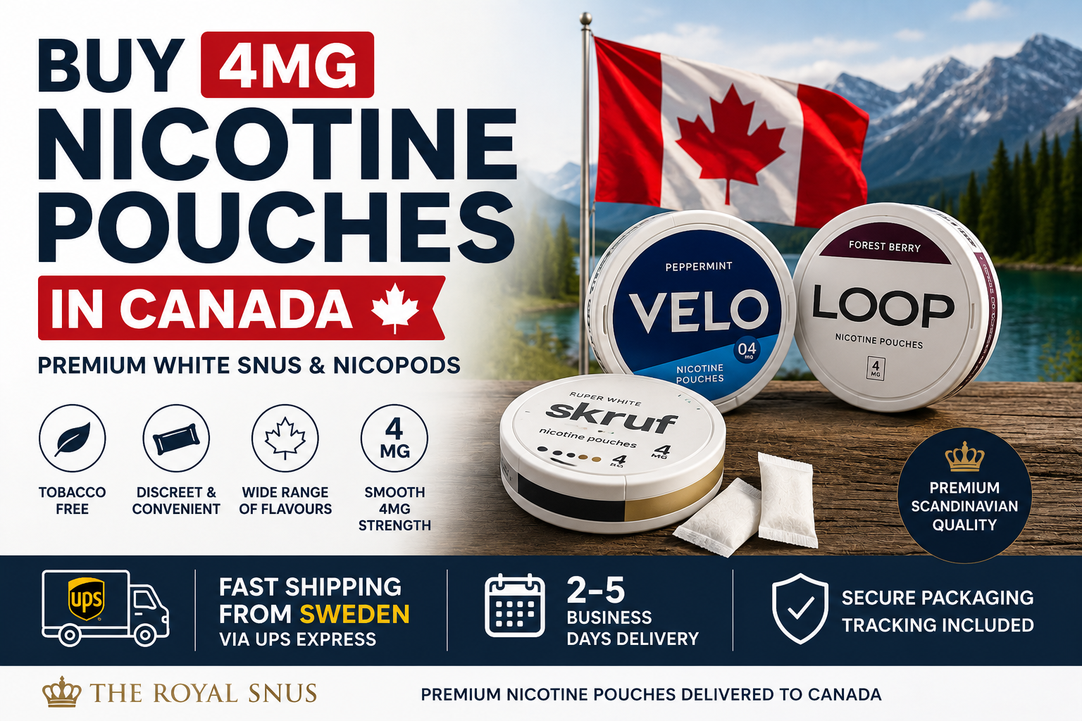 Buy 4mg Nicotine Pouches in Canada – Fast UPS Shipping from Sweden