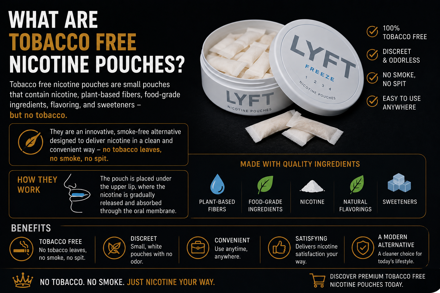 What is tobacco free nicotine pouches?