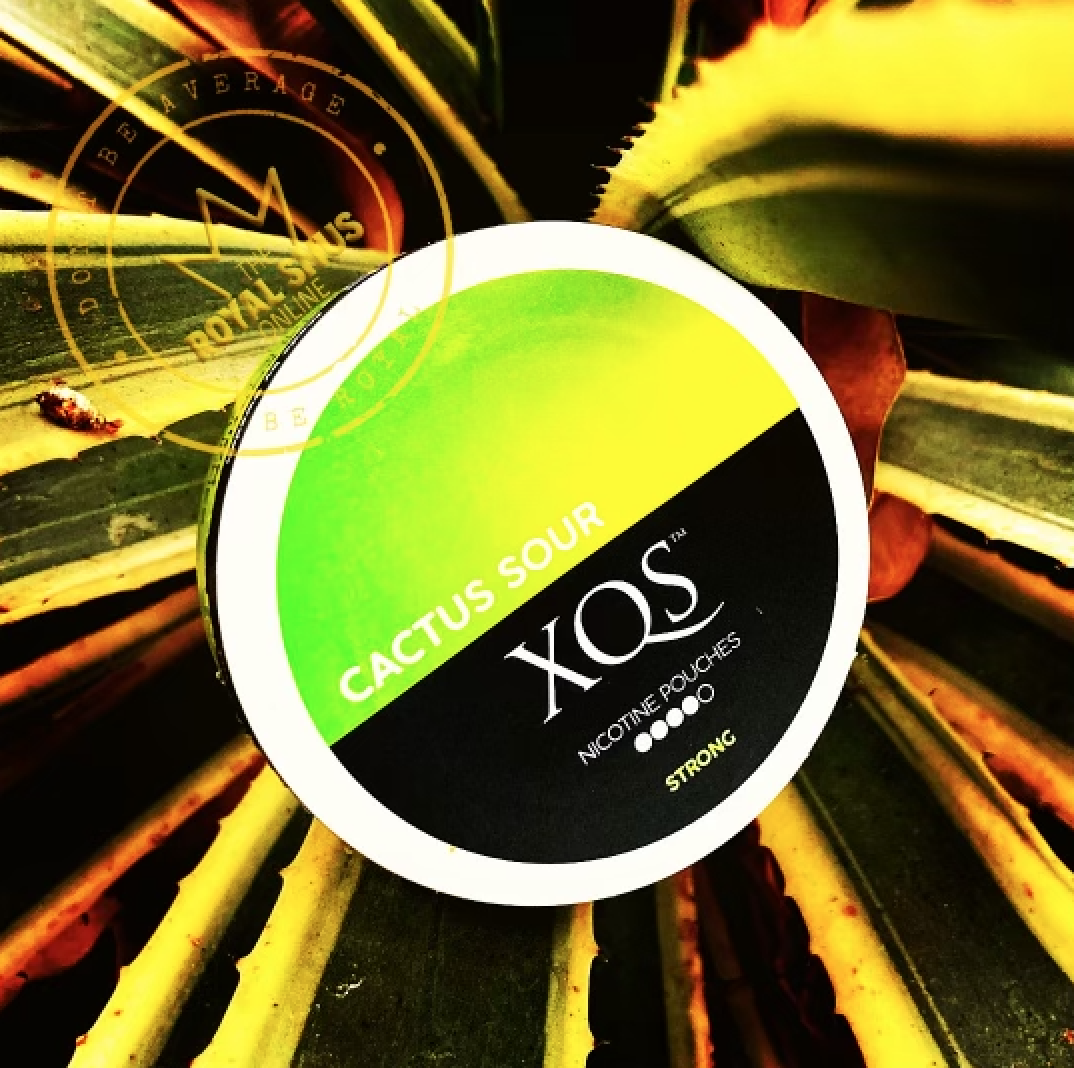 XQS Cactus Sour Strong