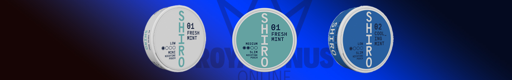 Buy Shiro Snus online, buy Shiro nicotine pouches online