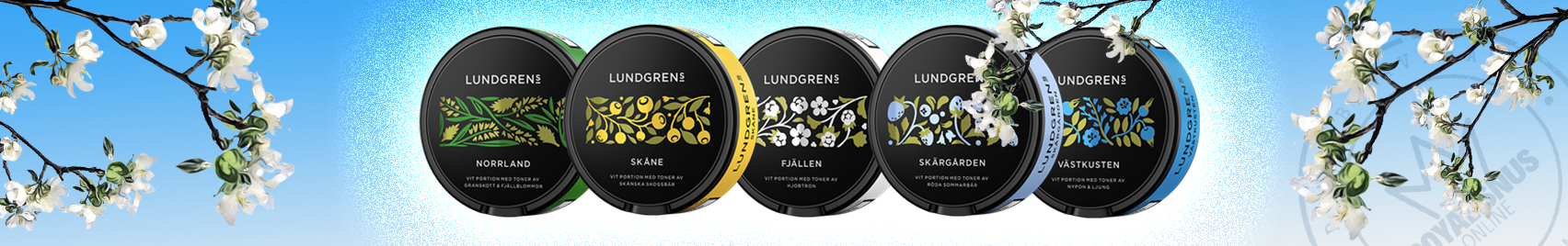 Buy Lundgrens Snus online